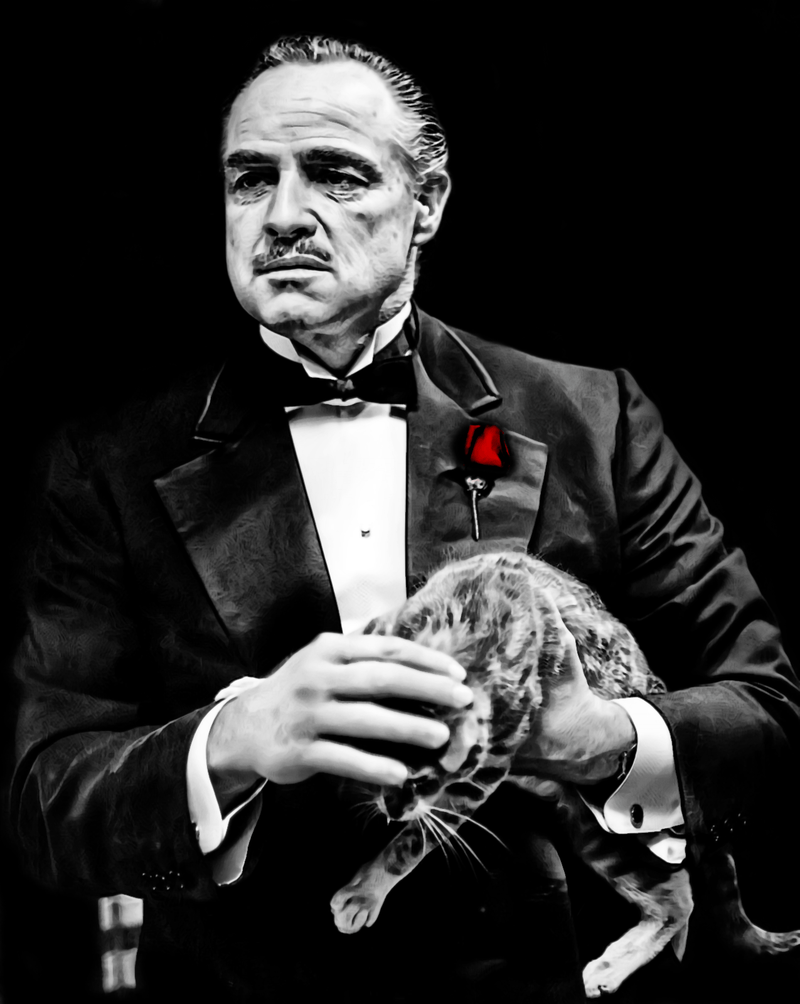 The Godfather Brando as Don Vito Corleone holding the cat