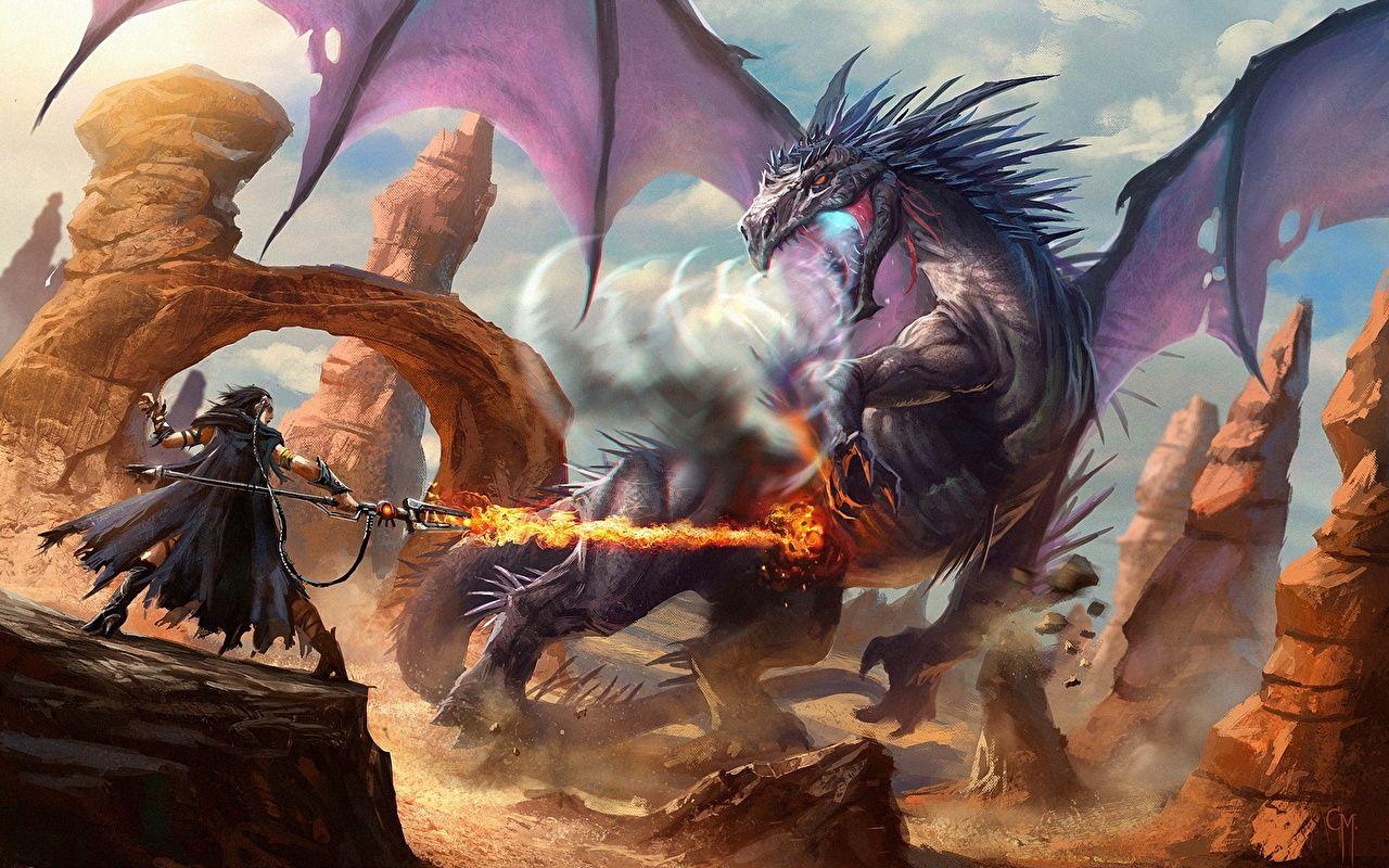 Photo Dragons sorcery Mage Staff Warriors Fantasy Fire cape Battles