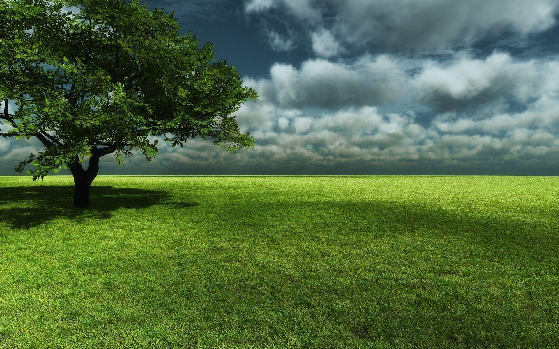 Download Landscape Background