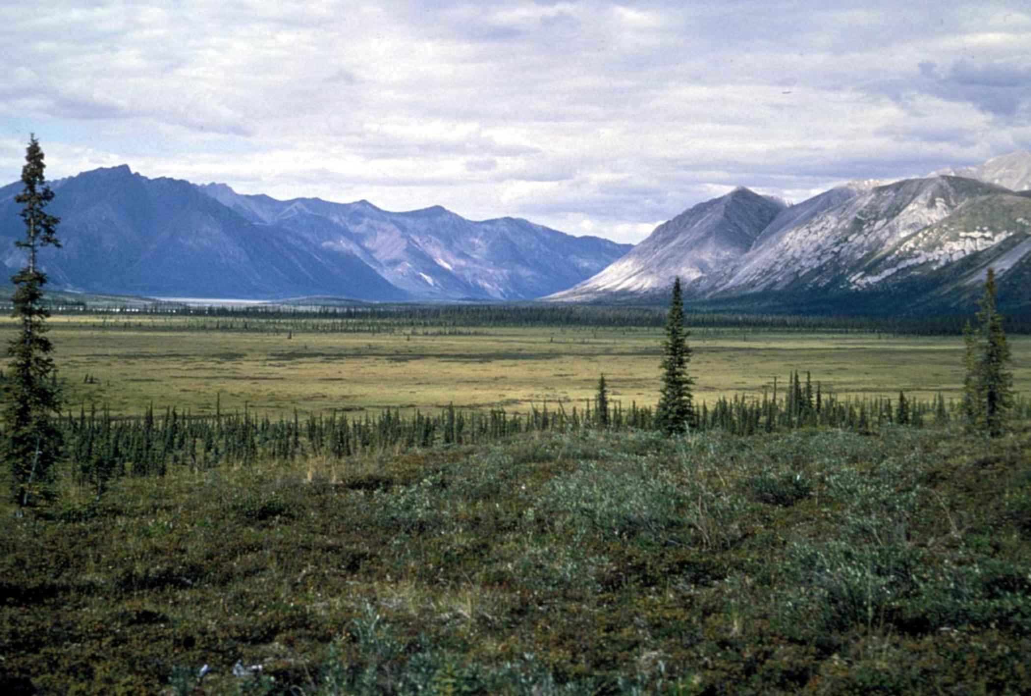Free picture: landscape, picture, green, hills, foreground, mountain