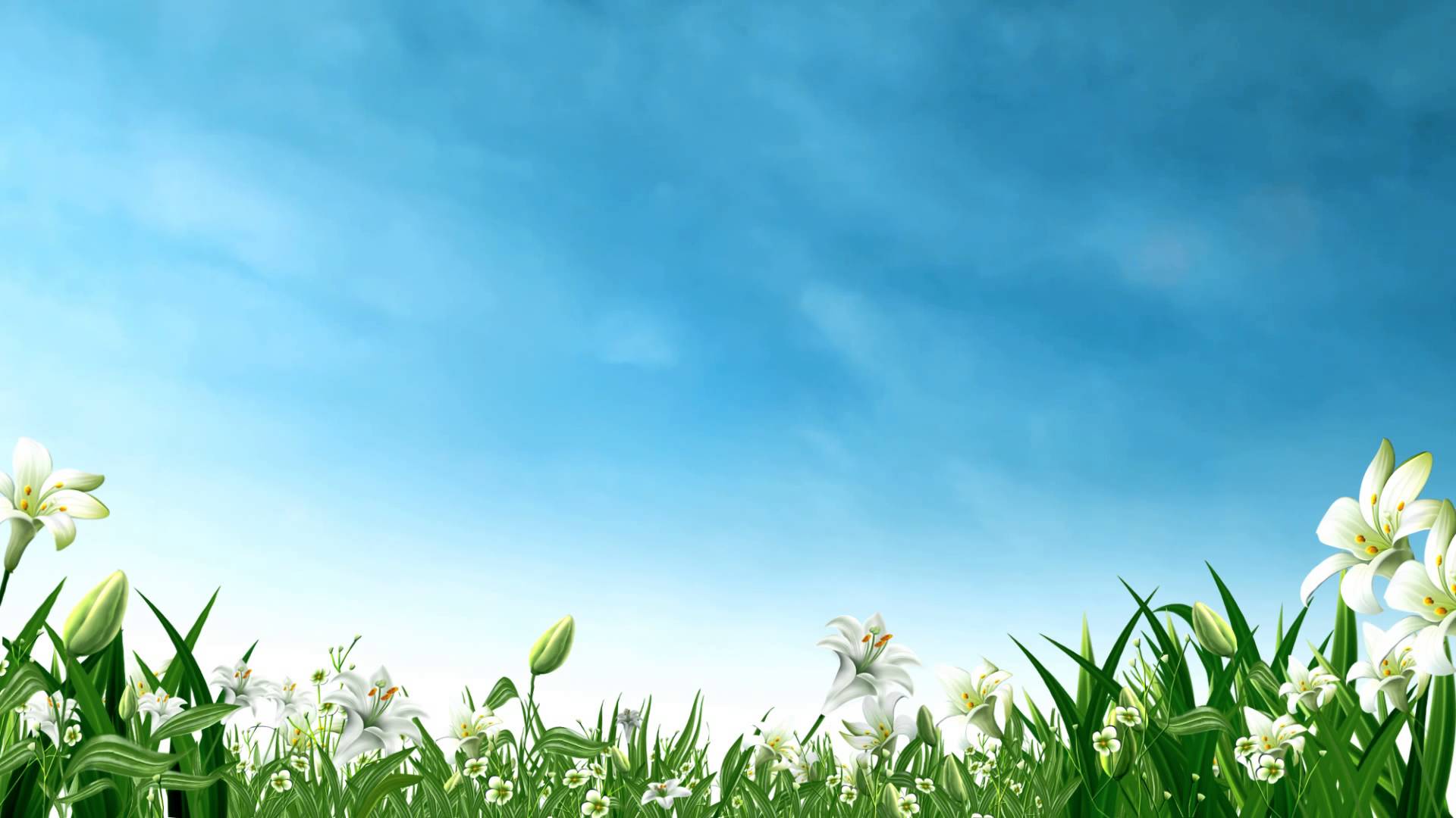 Video Background HD HD Proshow