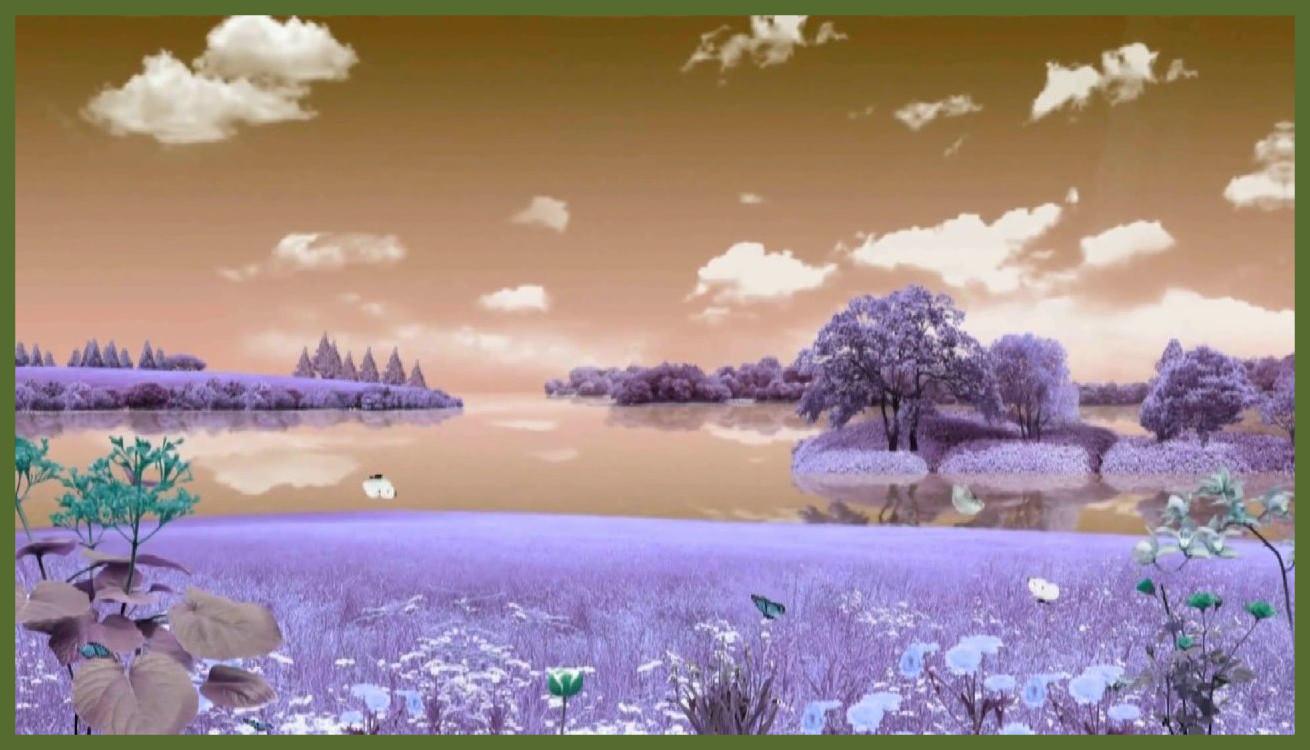 Incredible HD Background Wedding Motion Pics Of Violet Landscape