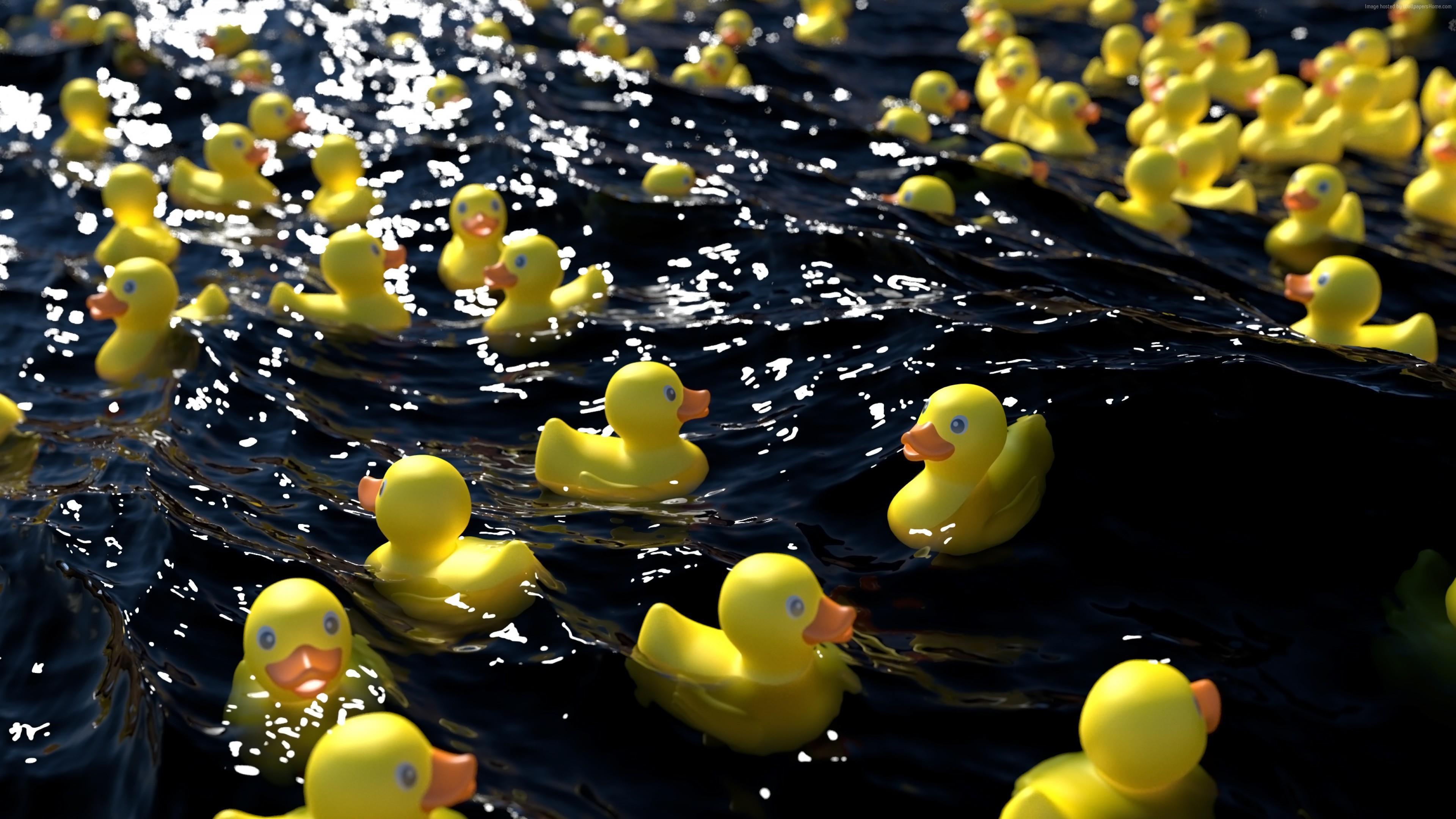 Rubber Duck Wallpapers - Wallpaper Cave