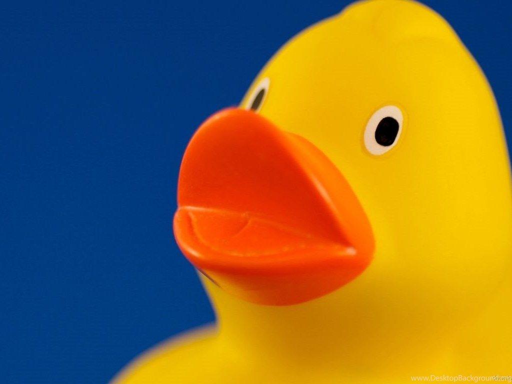 Download 1366x768 Macro Yellow Rubber Duck Wallpaper Desktop Background