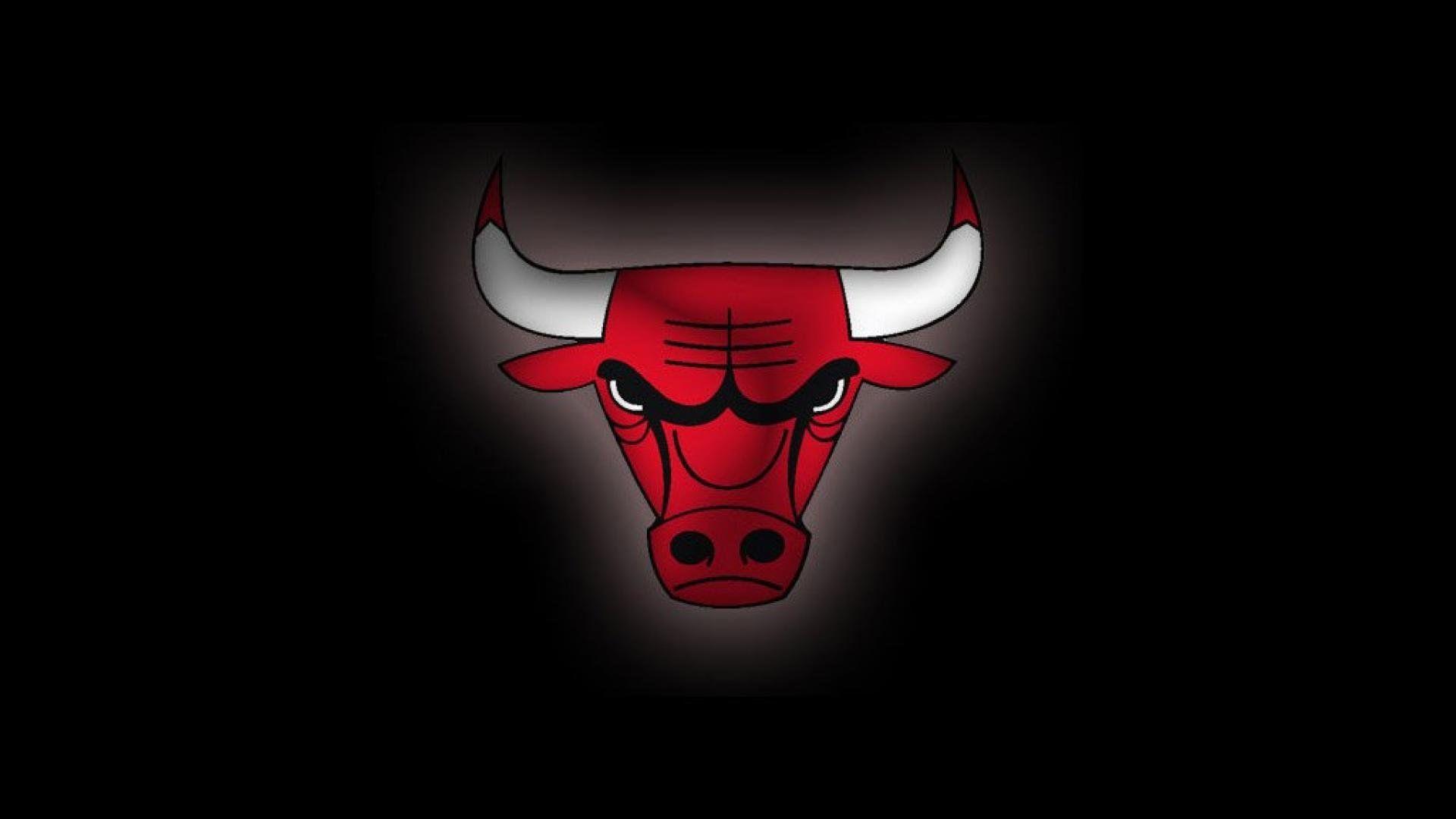 Chicago Bulls Logo 747472