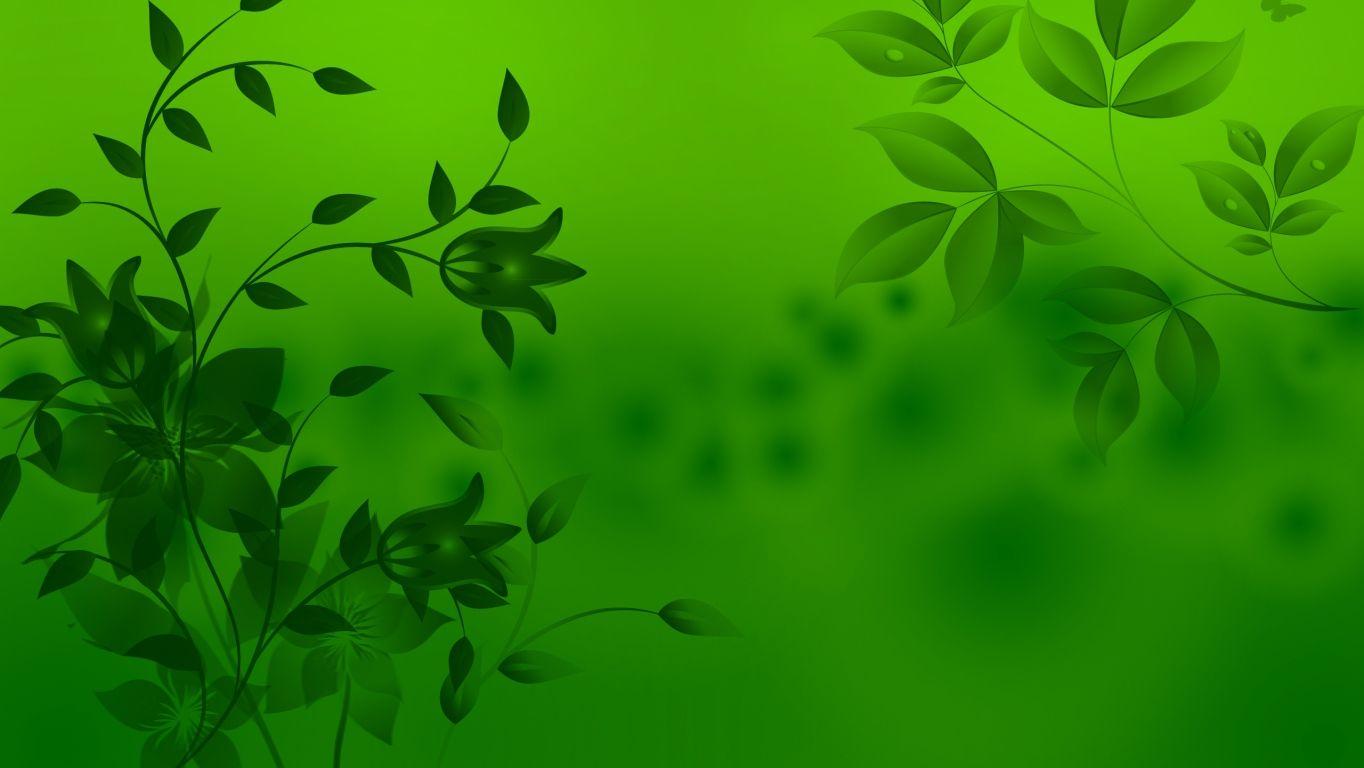 Download Wallpaper patterns, leaves, light, background HD Background