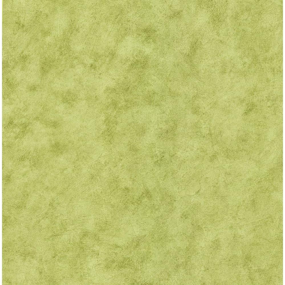 Pergoda Light Green Texture Wallpaper 412 54576 Home Depot