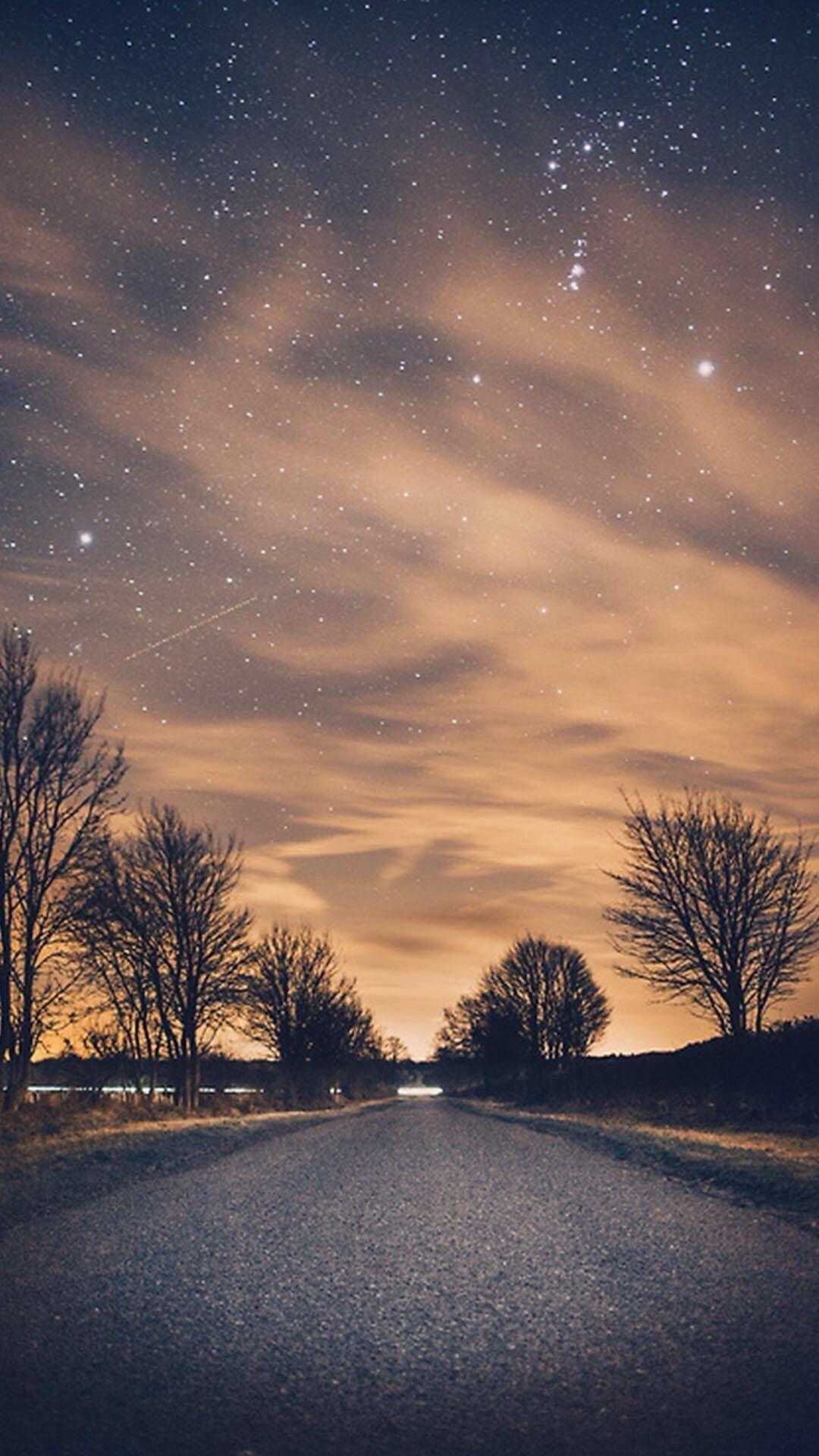Nature Night Shiny Road Endless Tree Roadside #iPhone #wallpaper
