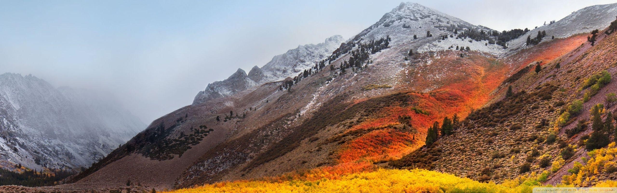 Apple Mac OS X High Sierra ❤ 4K HD Desktop Wallpaper for 4K Ultra
