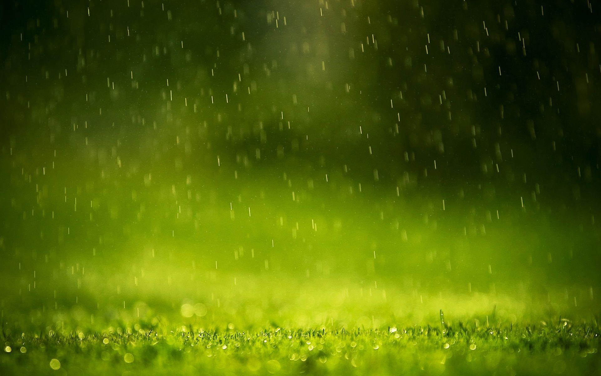 Rain Drops Wallpaper