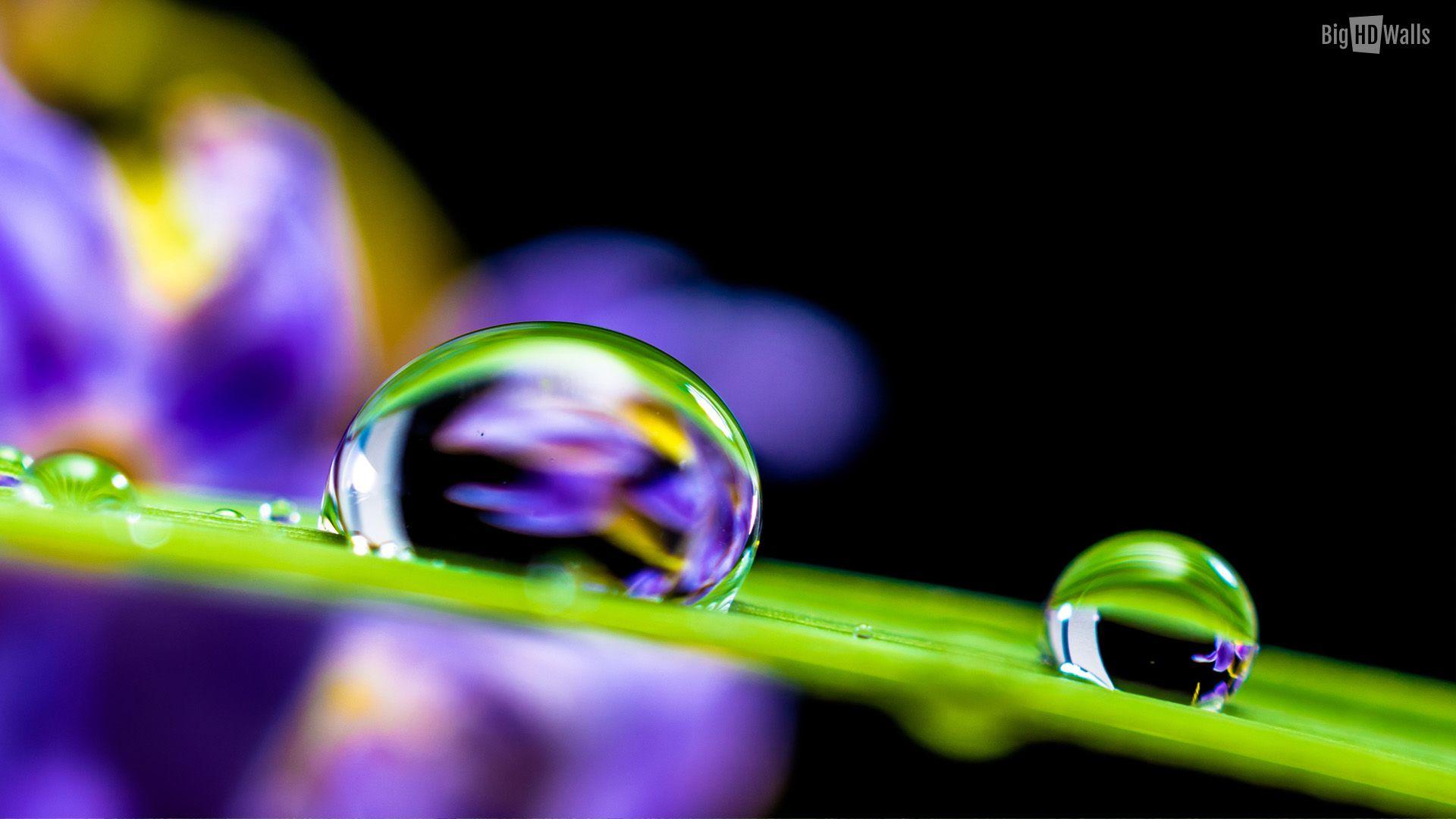 Rain drop HD Wallpaper