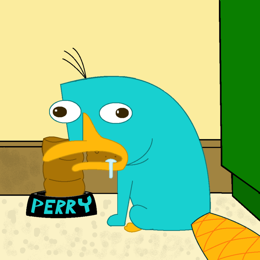 Perry The Platypus HD wallpaper  Pxfuel