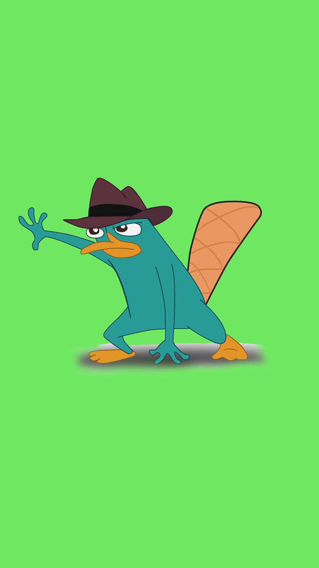 HD wallpaper ferb perry phineas platypus  Wallpaper Flare