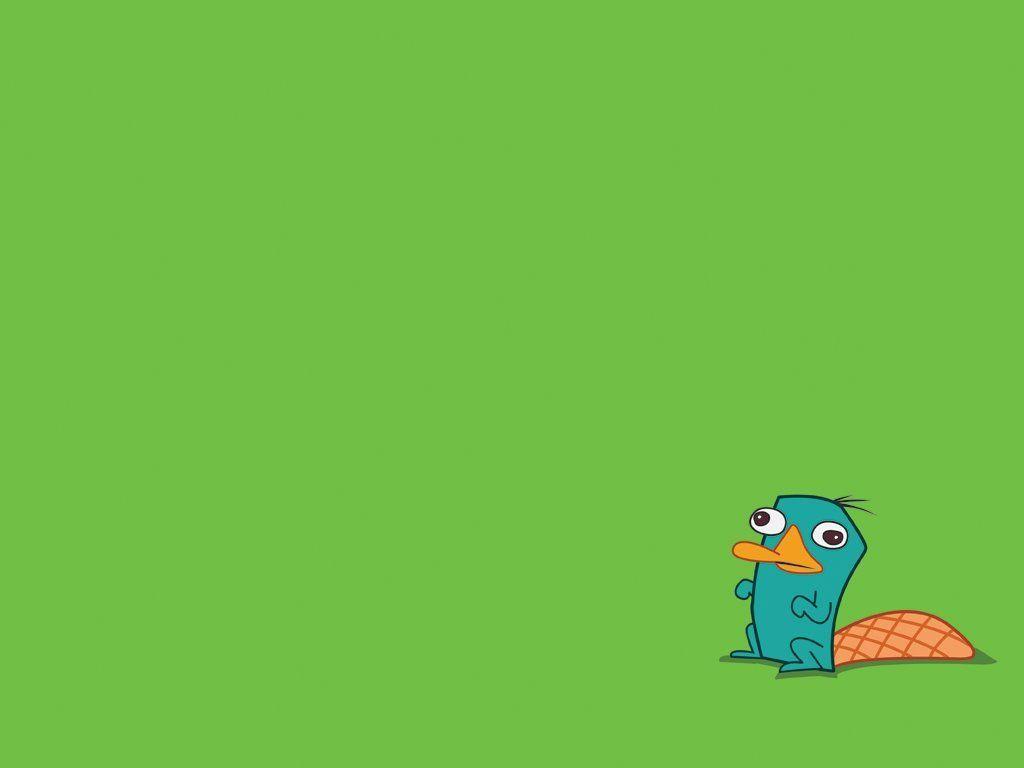 Perry The Platypus Wallpapers Wallpapers.