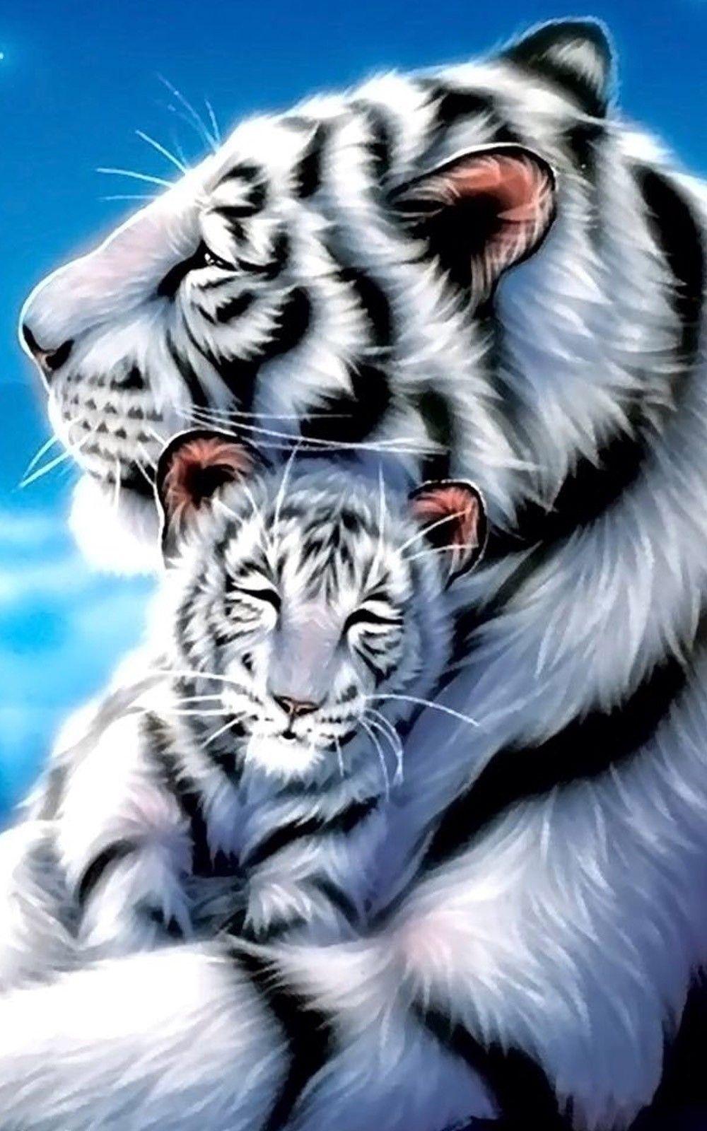 beautiful white tiger wallpaper