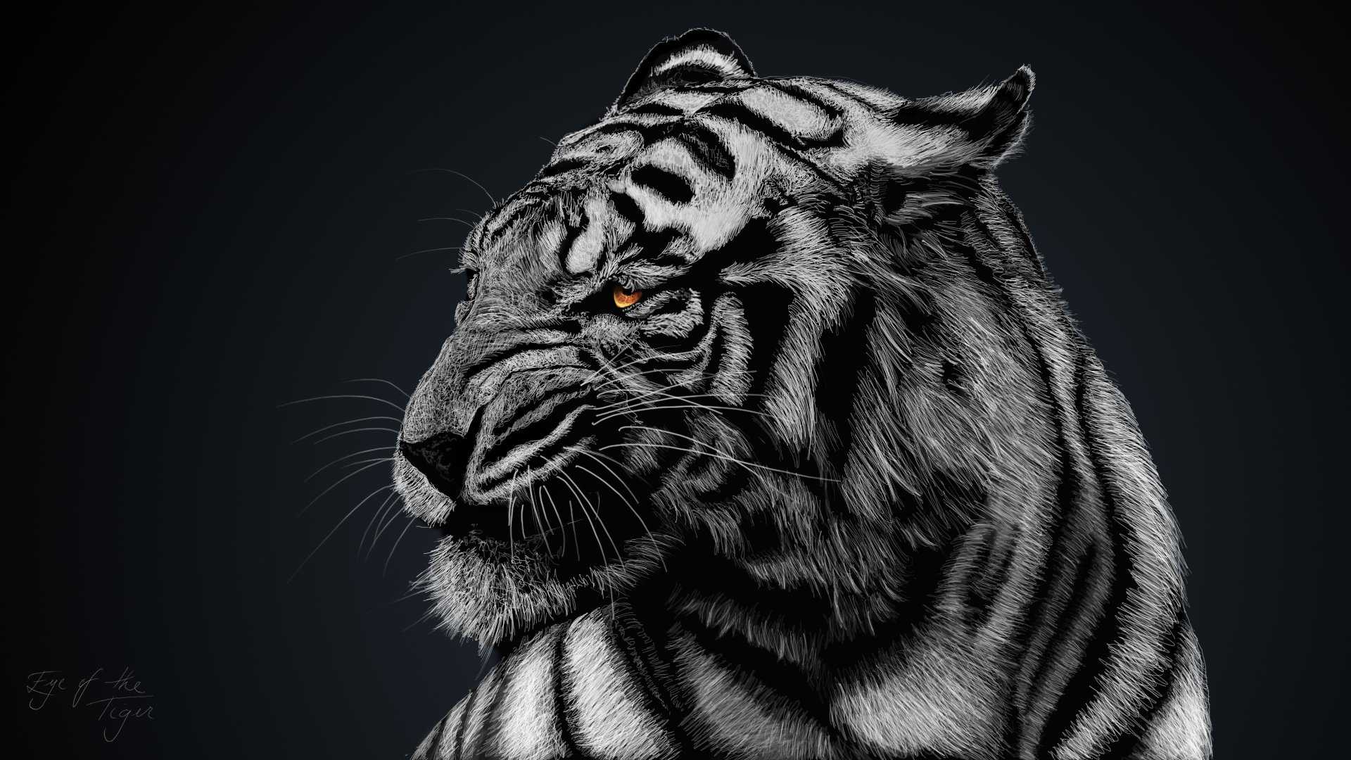 White tigers, 3d, animal, tiger, wild, HD phone wallpaper