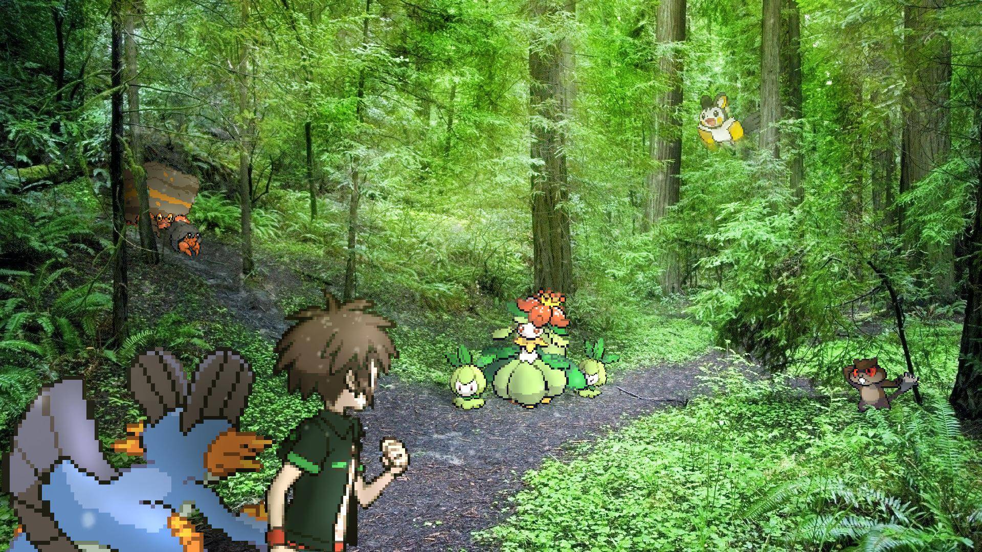A hassle in the Pokémon Forest