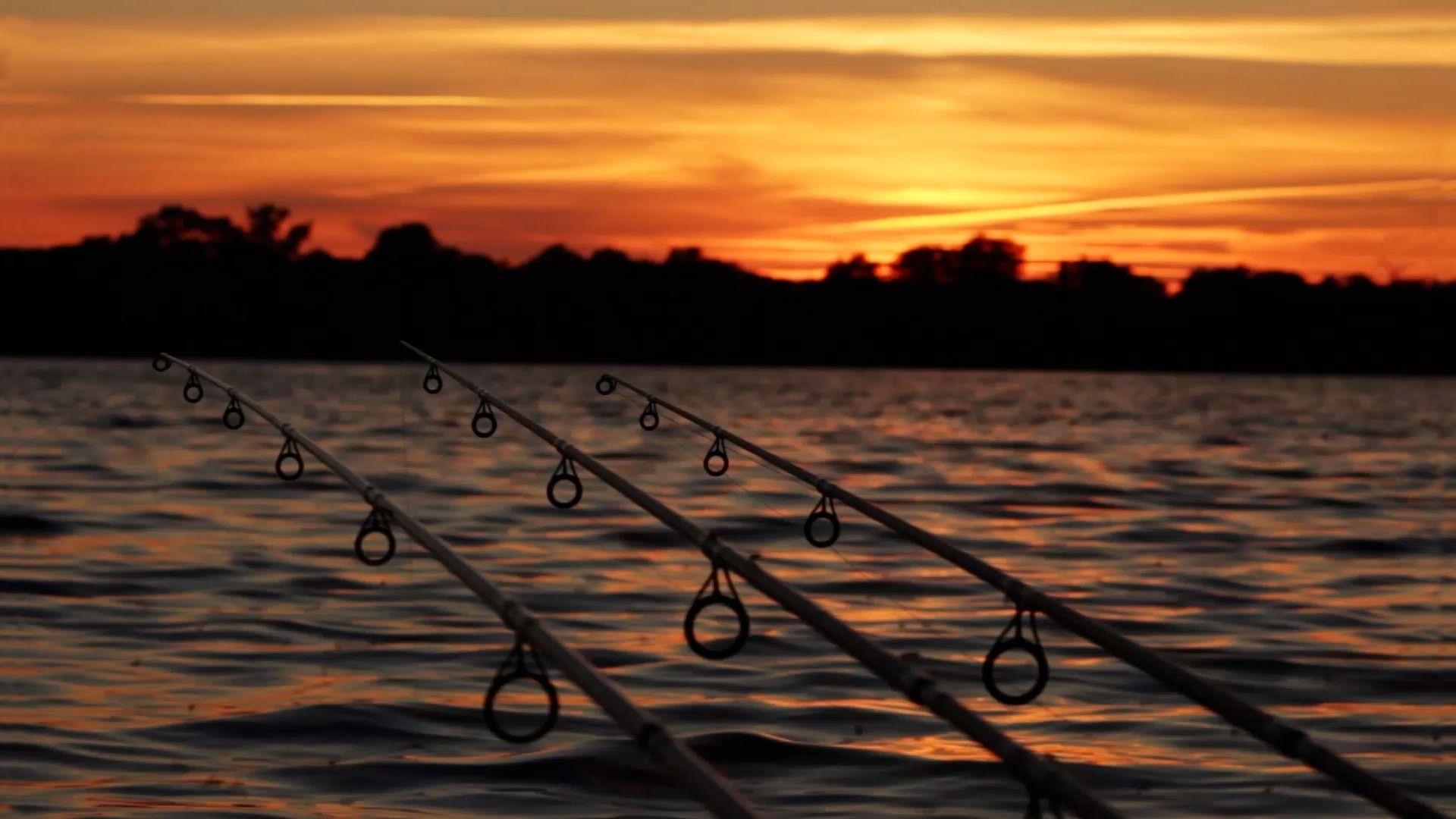 Bass Fishing Wallpaper HD