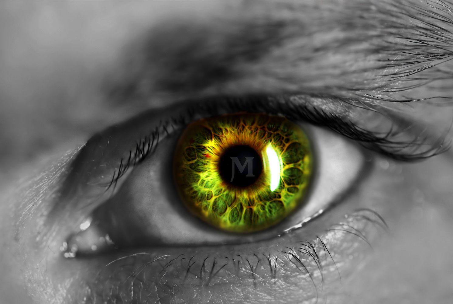 Green Eyes Cat 4K wallpaper download