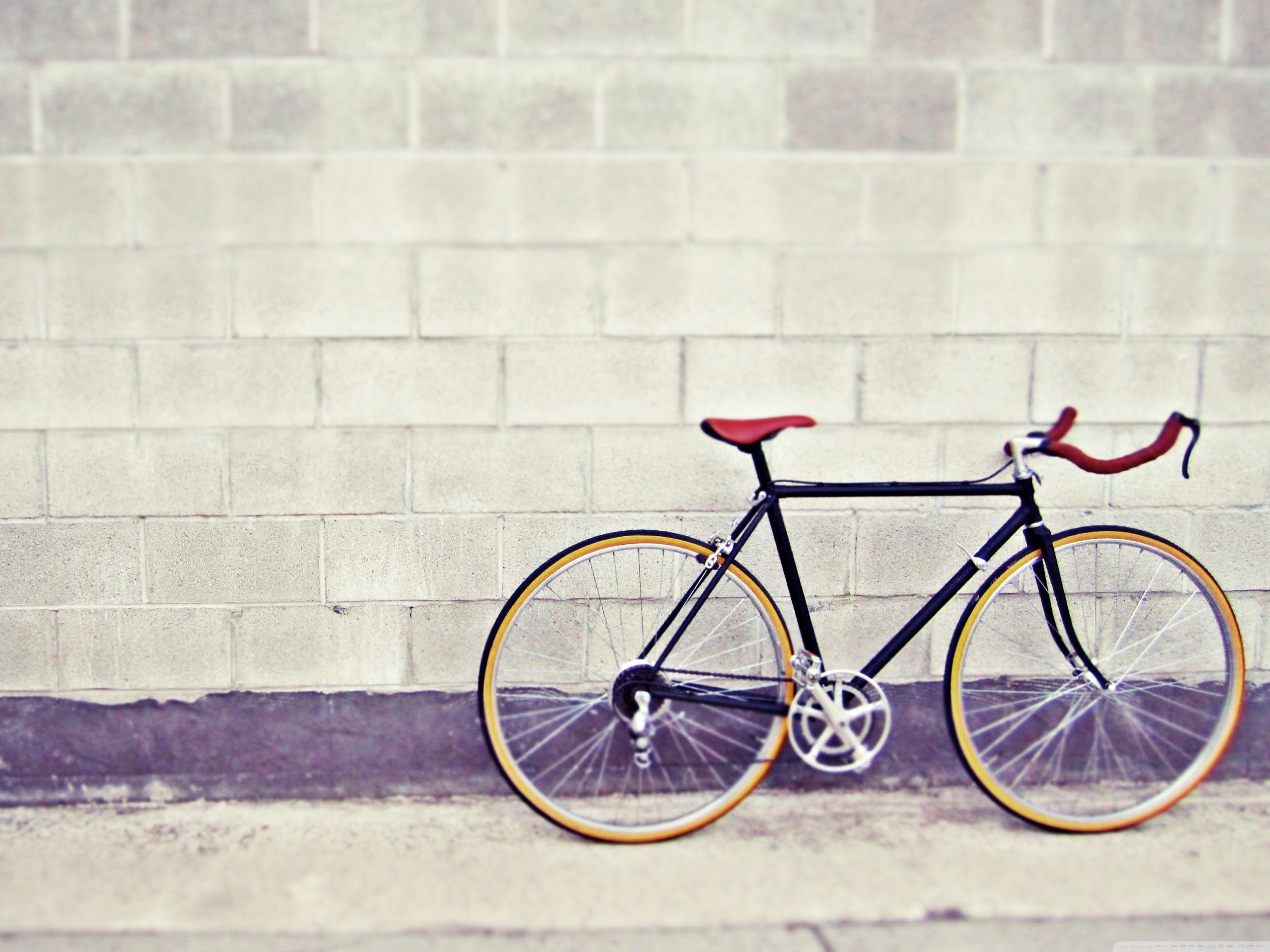 No. 1 Online Bicycle Shop in Singapore. Bicycles and Accessories