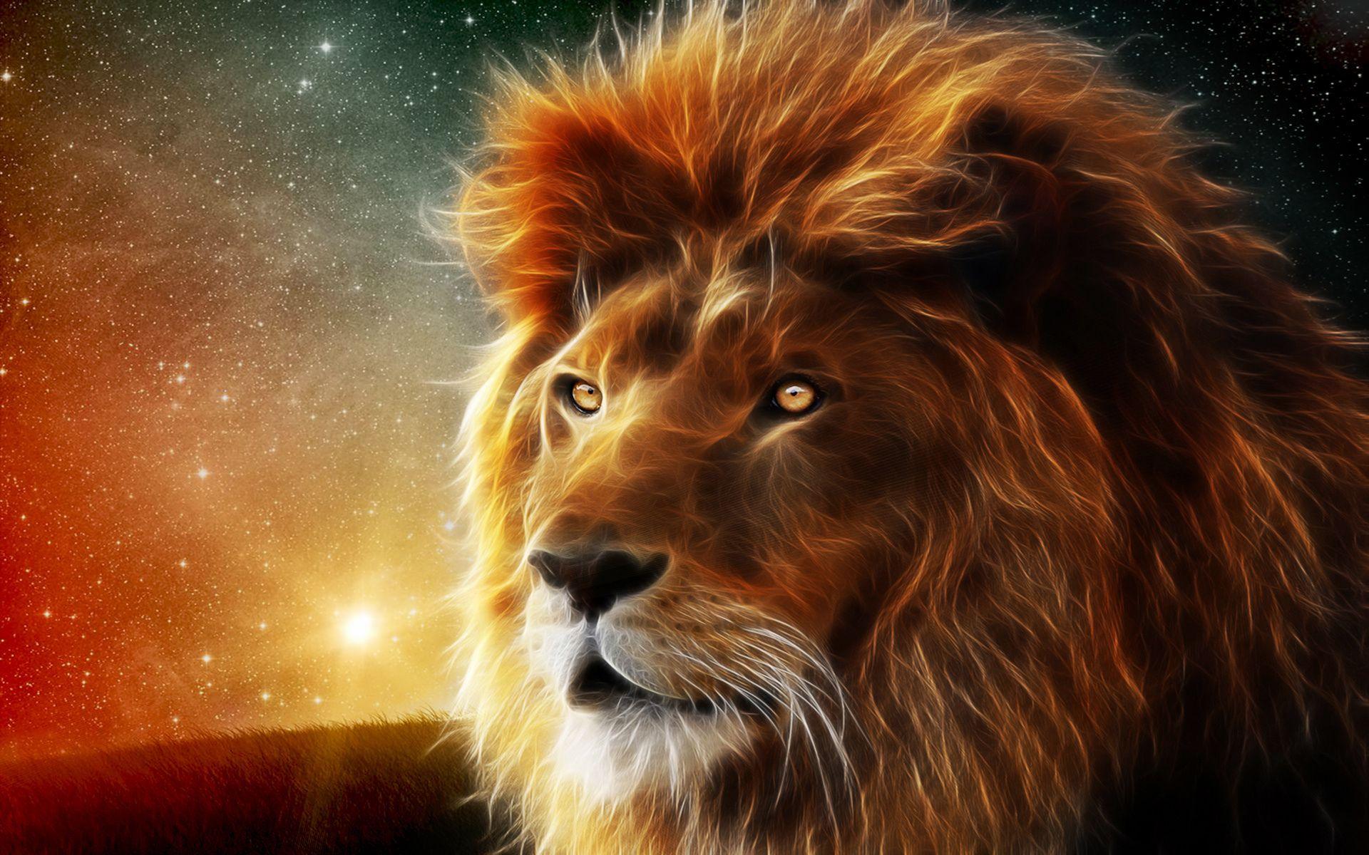 Lion Image HD