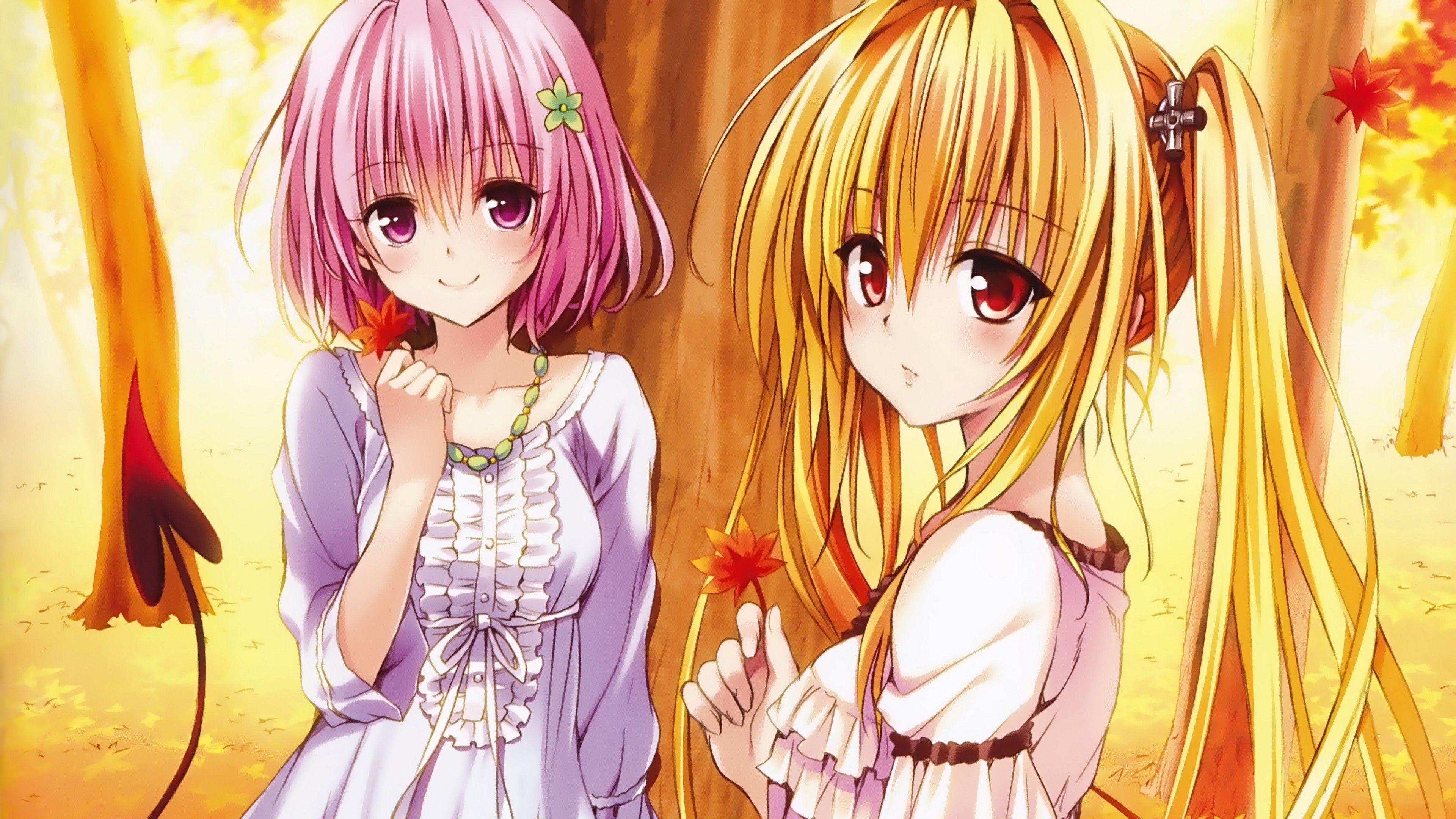 To Love Ru Wallpapers Momo Wallpaper Cave