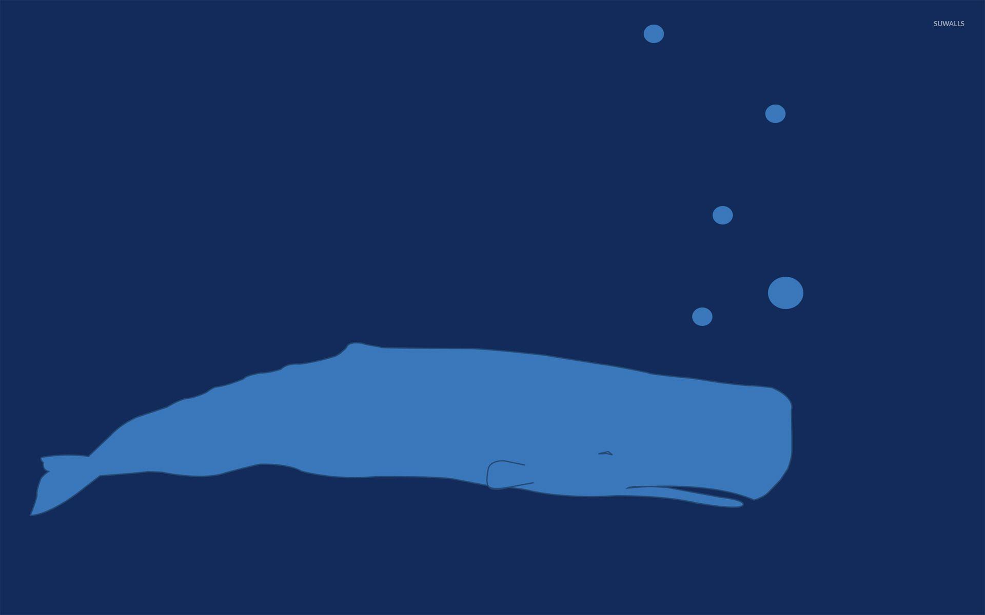 Blue whale wallpaper wallpaper