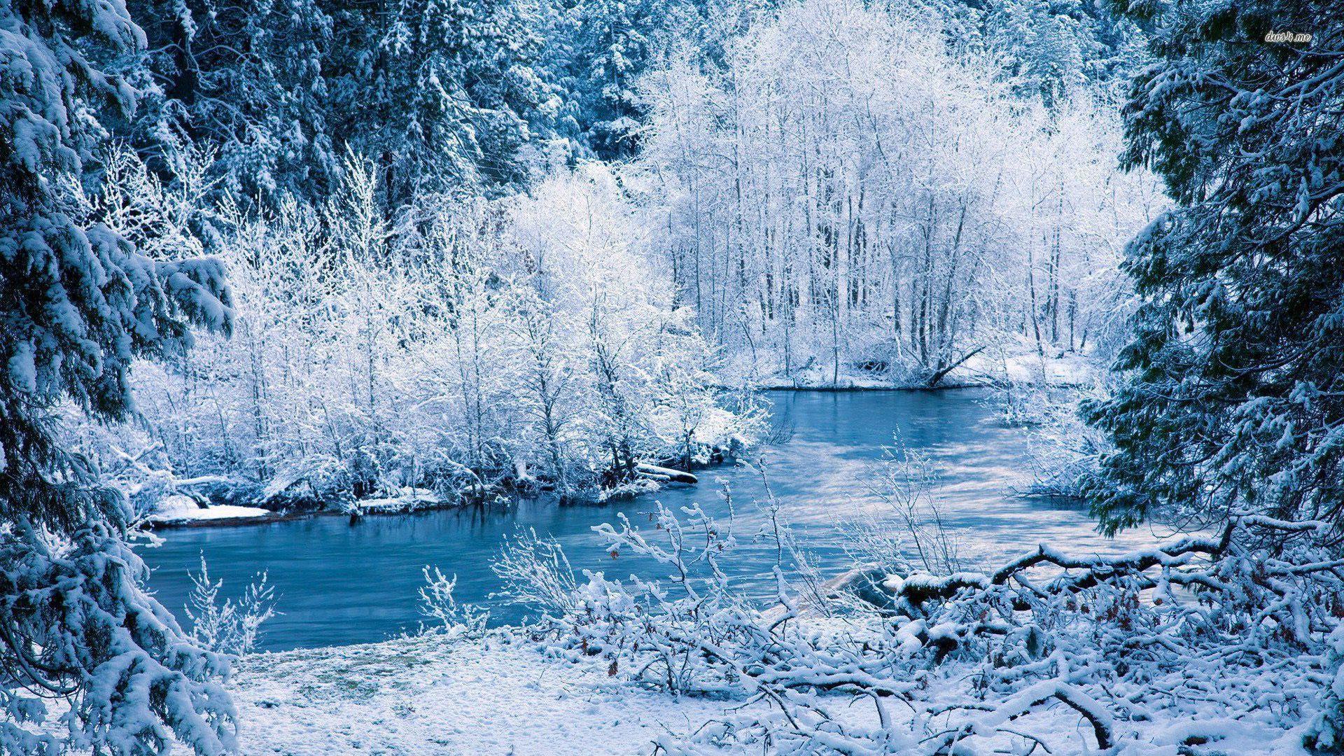 River in the winter forest wallpaper wallpaper
