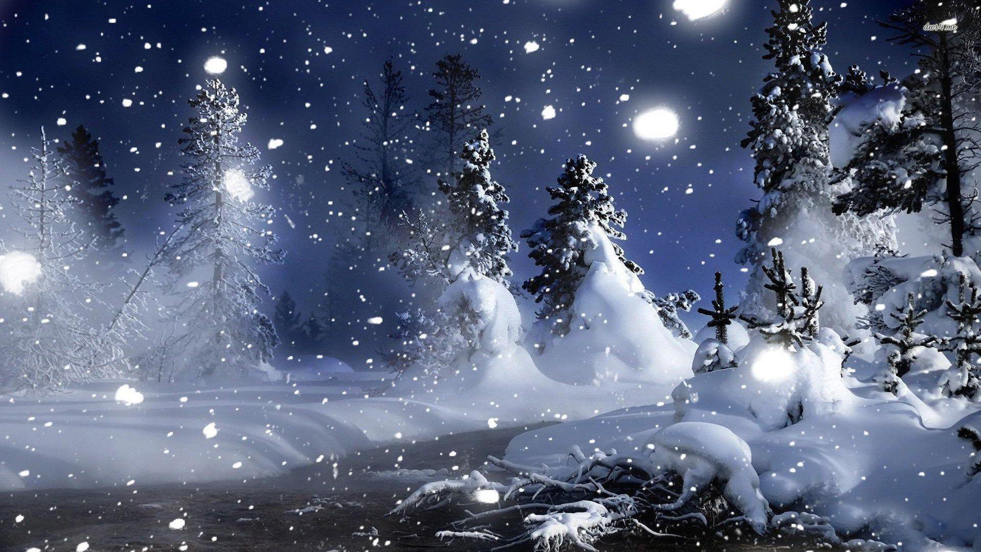 2442 Snow Winter Night Forest Tree (1920×1080). Christmas