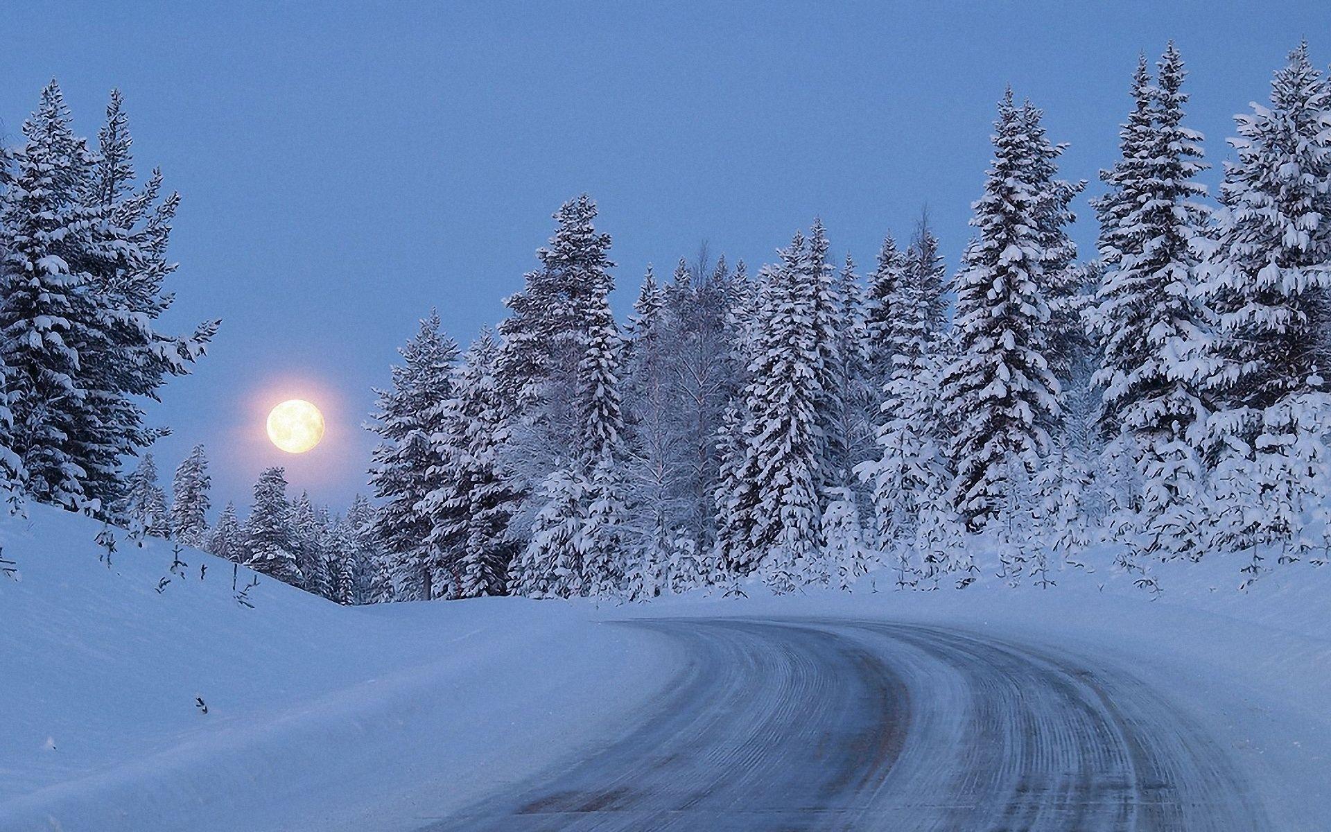 Snowy Forest Road Moon Night wallpaper. Snowy Forest Road Moon