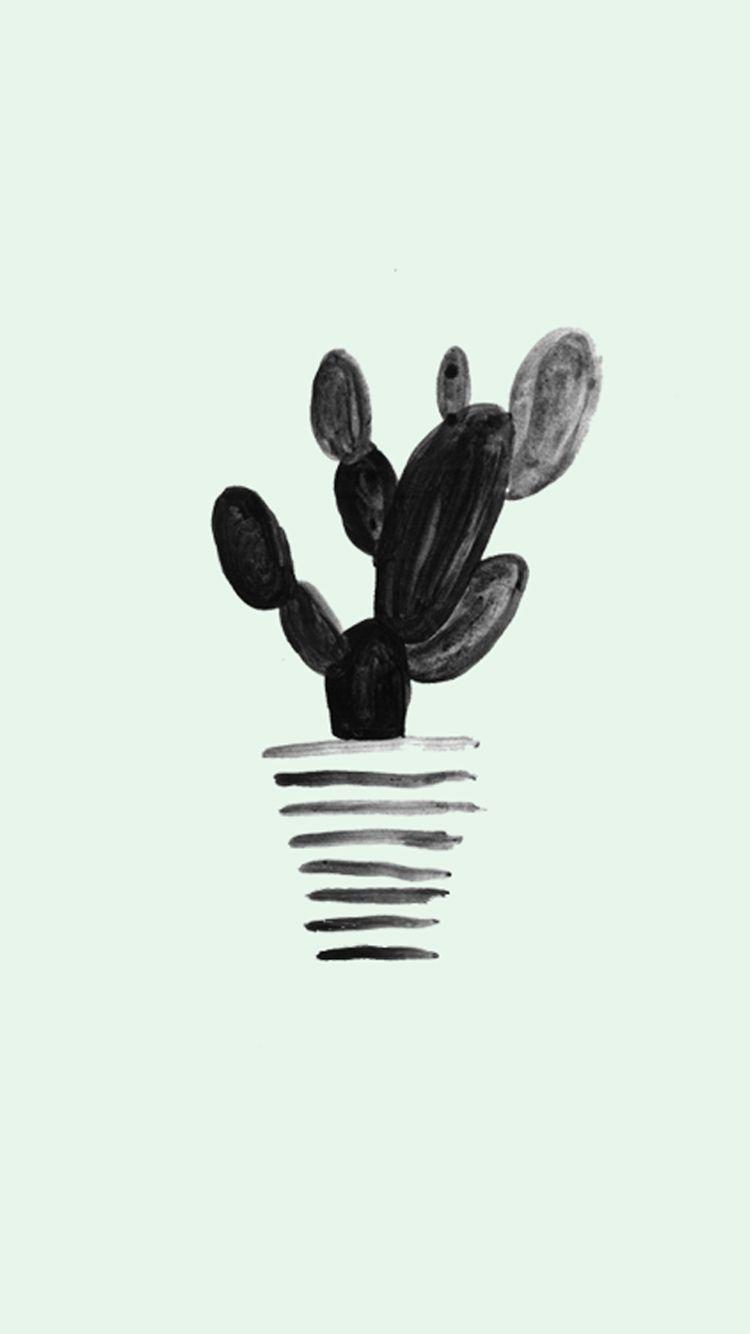 Wallpaper Juni Desktophintergrund Kaktus Sukkulenten Pflanzen Mint