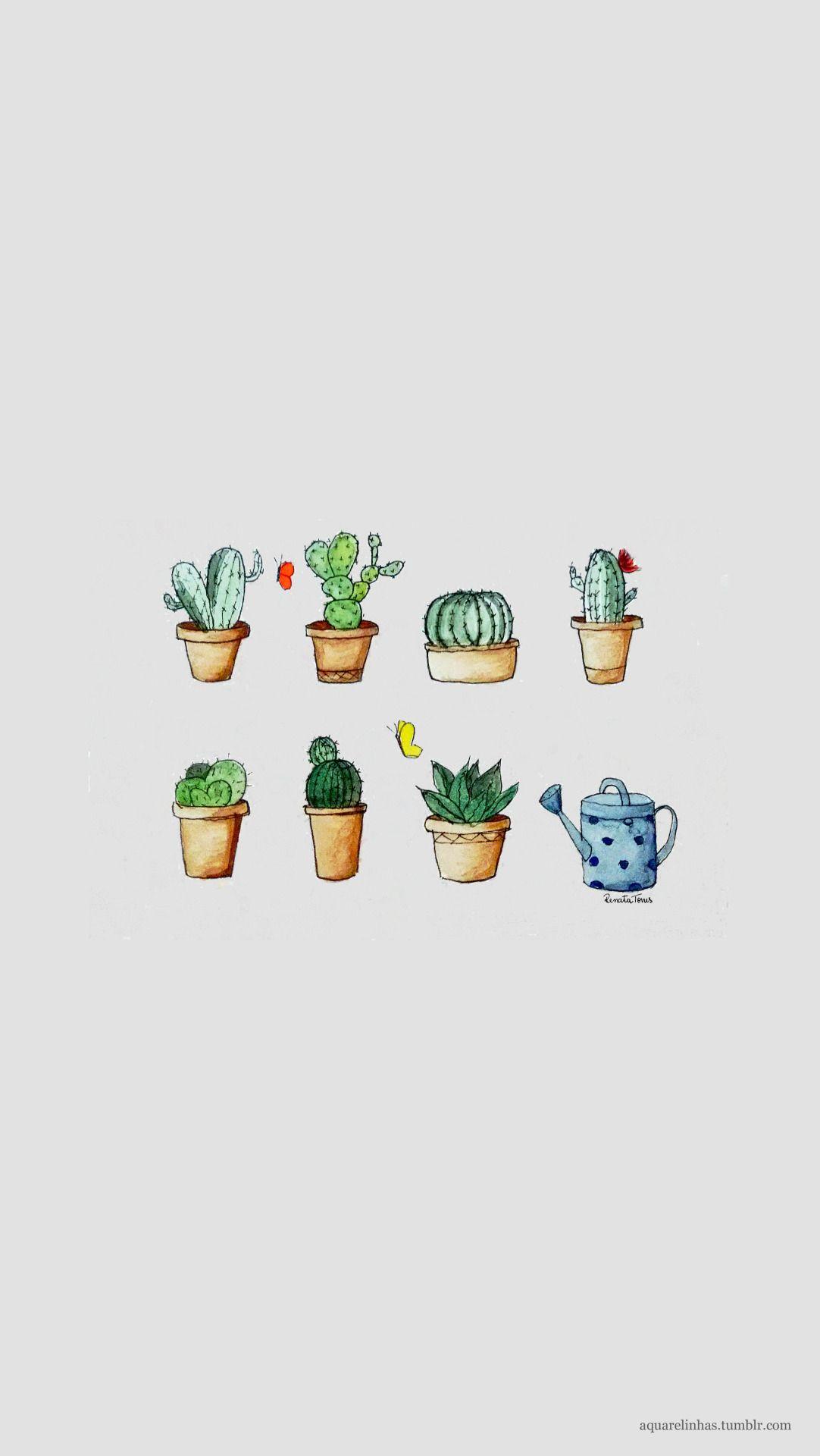 Cactus (versão para celular). A bit of everything