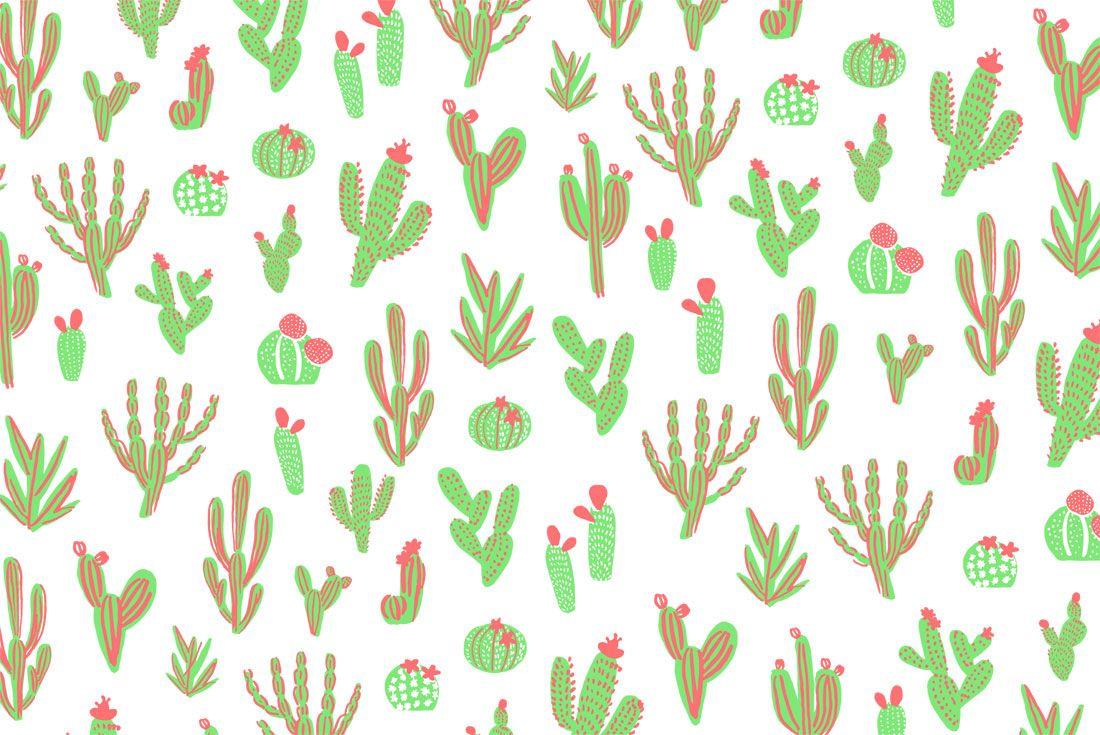Gallery For: Cactus Wallpaper, Cactus Wallpaper, HQ Cactus