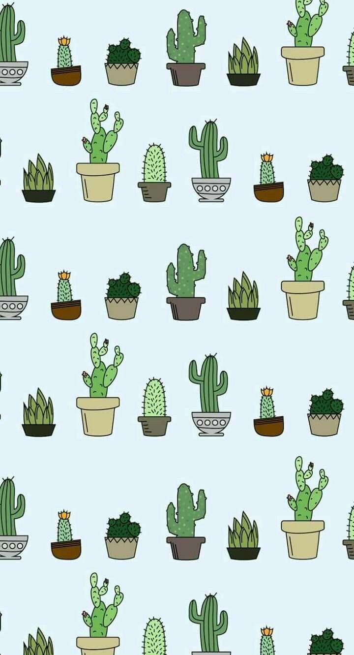 The 16 best •Cactus• image. Wallpaper, Cacti