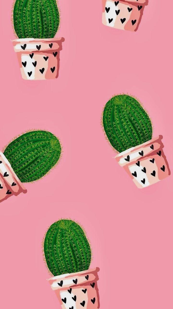 cactus #iphone #wallpaper #pink #love. Suculentas Cactus Terrários