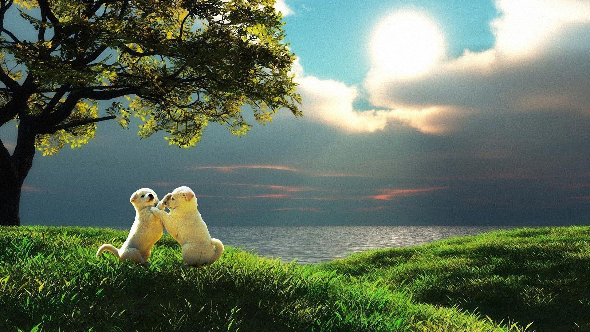 Download wallpaper 1920x1080 puppy, couple, sunset, nature, play