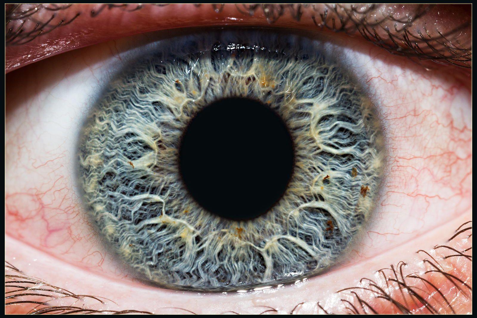 Iris Of The Eyeball Wallpaper High Quality