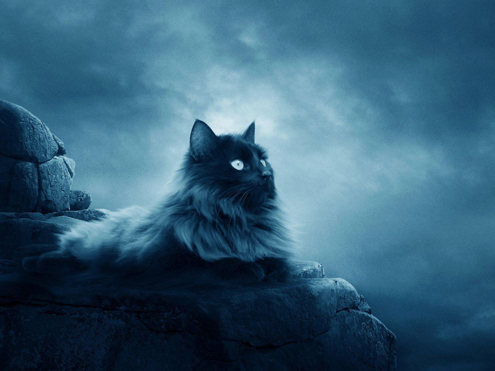 Wallpaper.wiki Warrior Cats Desktop Background PIC WPE00243