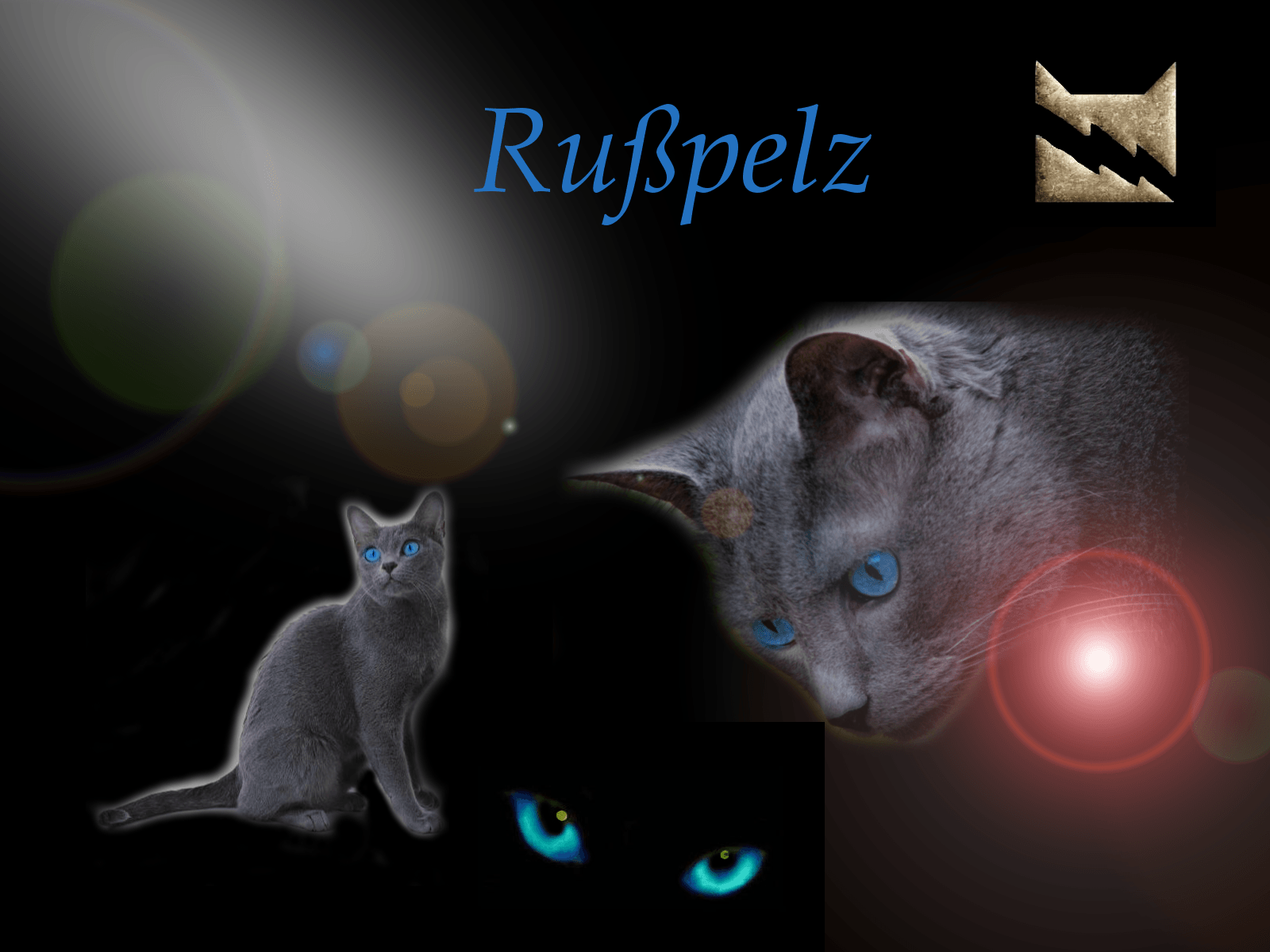 Wallpaper.wiki Warrior Cats Background PIC WPE00240