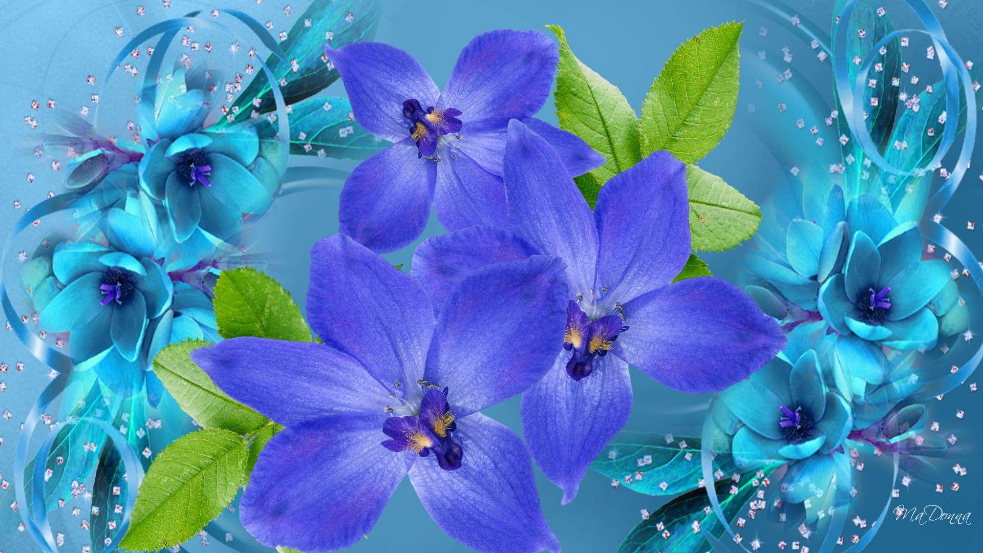 blue orchid flower wallpaper