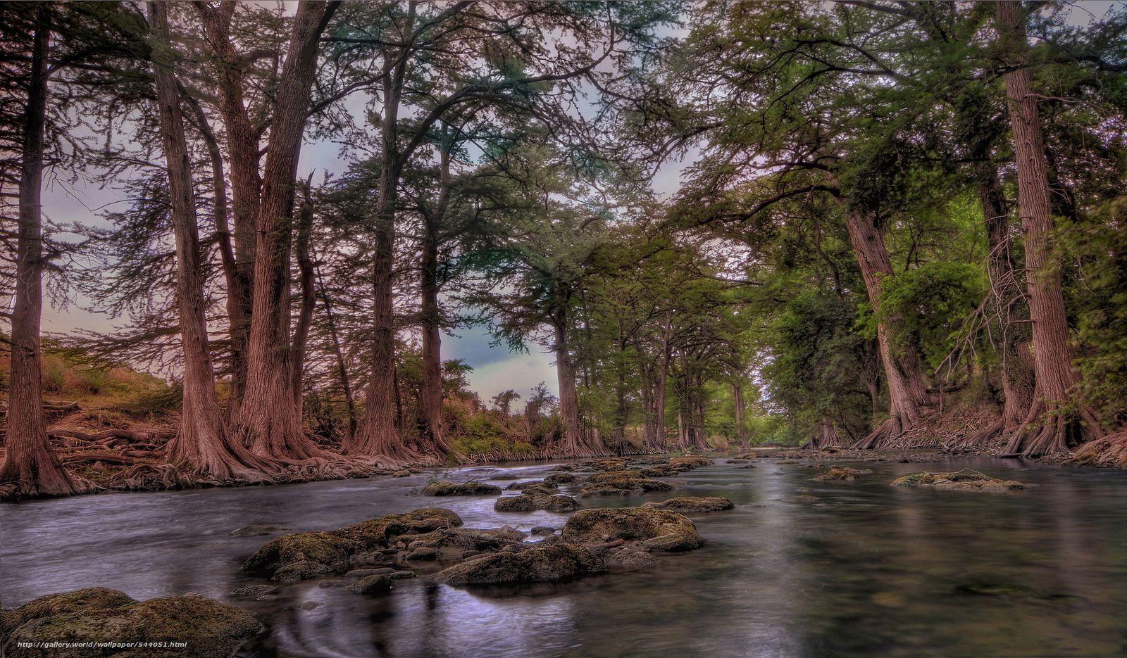Download wallpaper Guadalupe River, Hill Country, texas, USA free