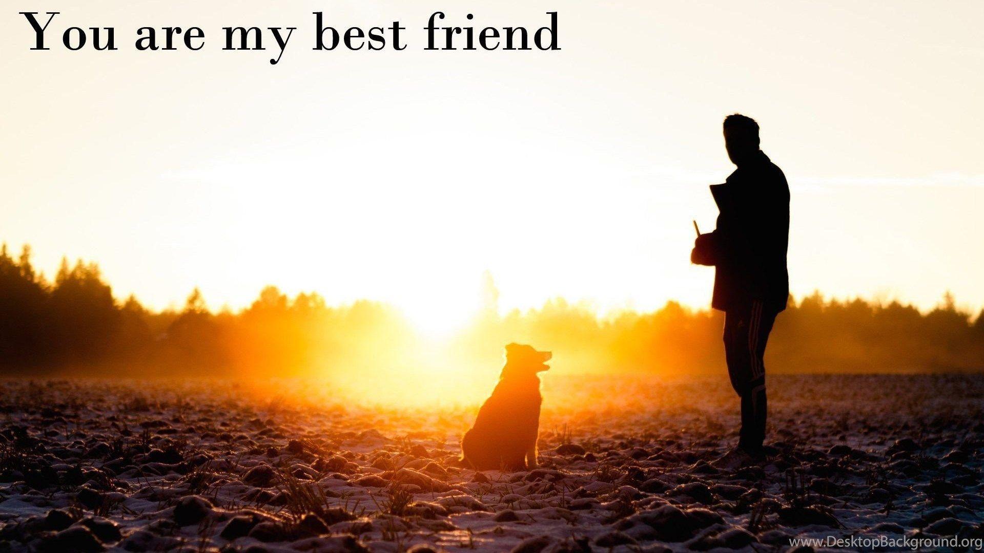 My Best Friend Wallpaper HD Wallpaper Pretty Desktop Background