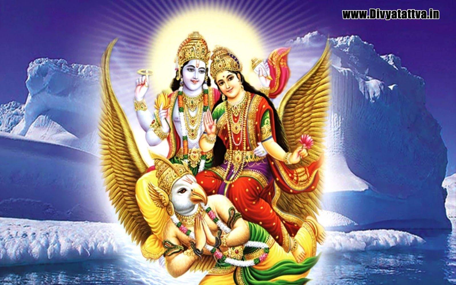 Divyatattva Astrology Free Horoscopes Psychic Tarot Yoga Tantra Occult Image Videos, Lord Vishnu HD Wallpaper Goddess Luxmi With Garuda Background Image
