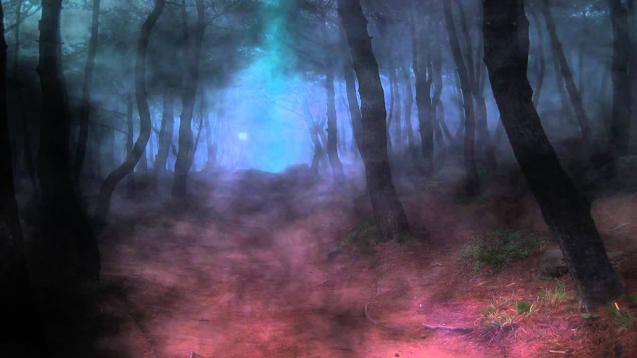 Dark Forest (Video Background)