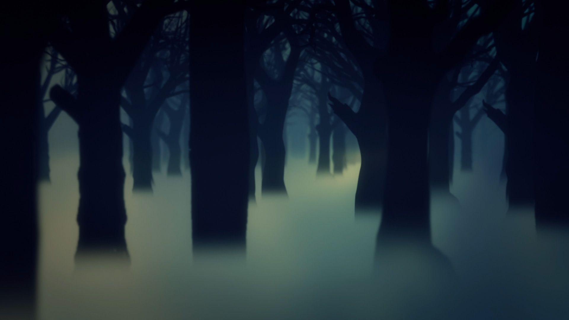 Dark Forest Fog Model Animated