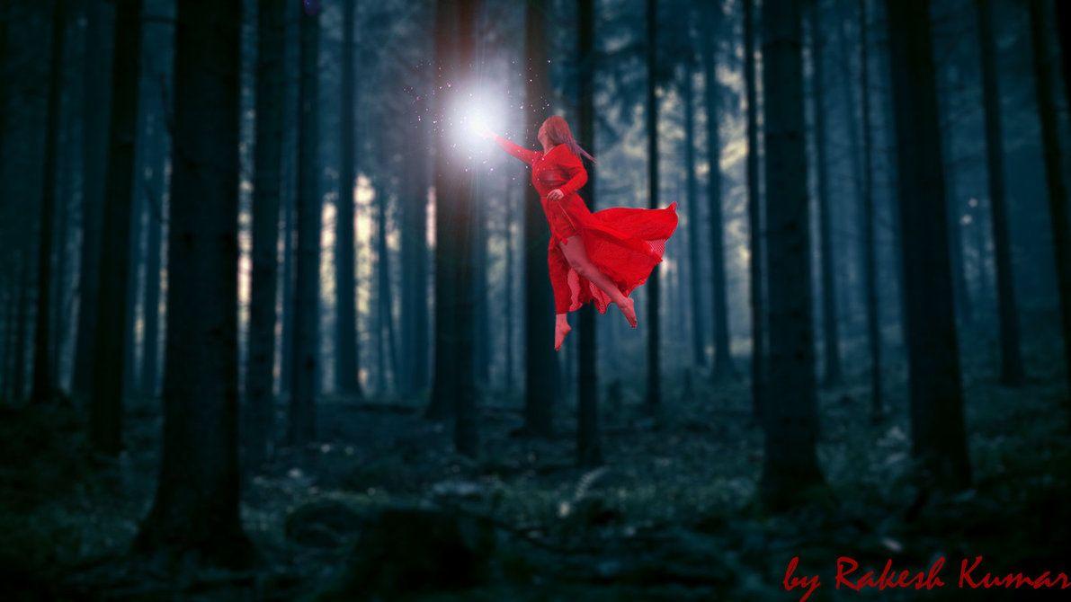 Dark Forest Background Wallpaper 3