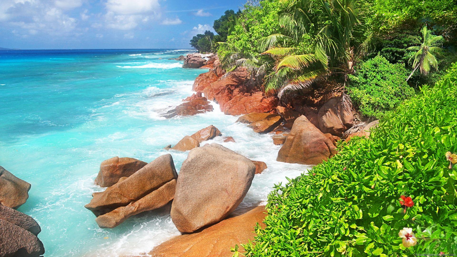 Wallpaper Beautiful