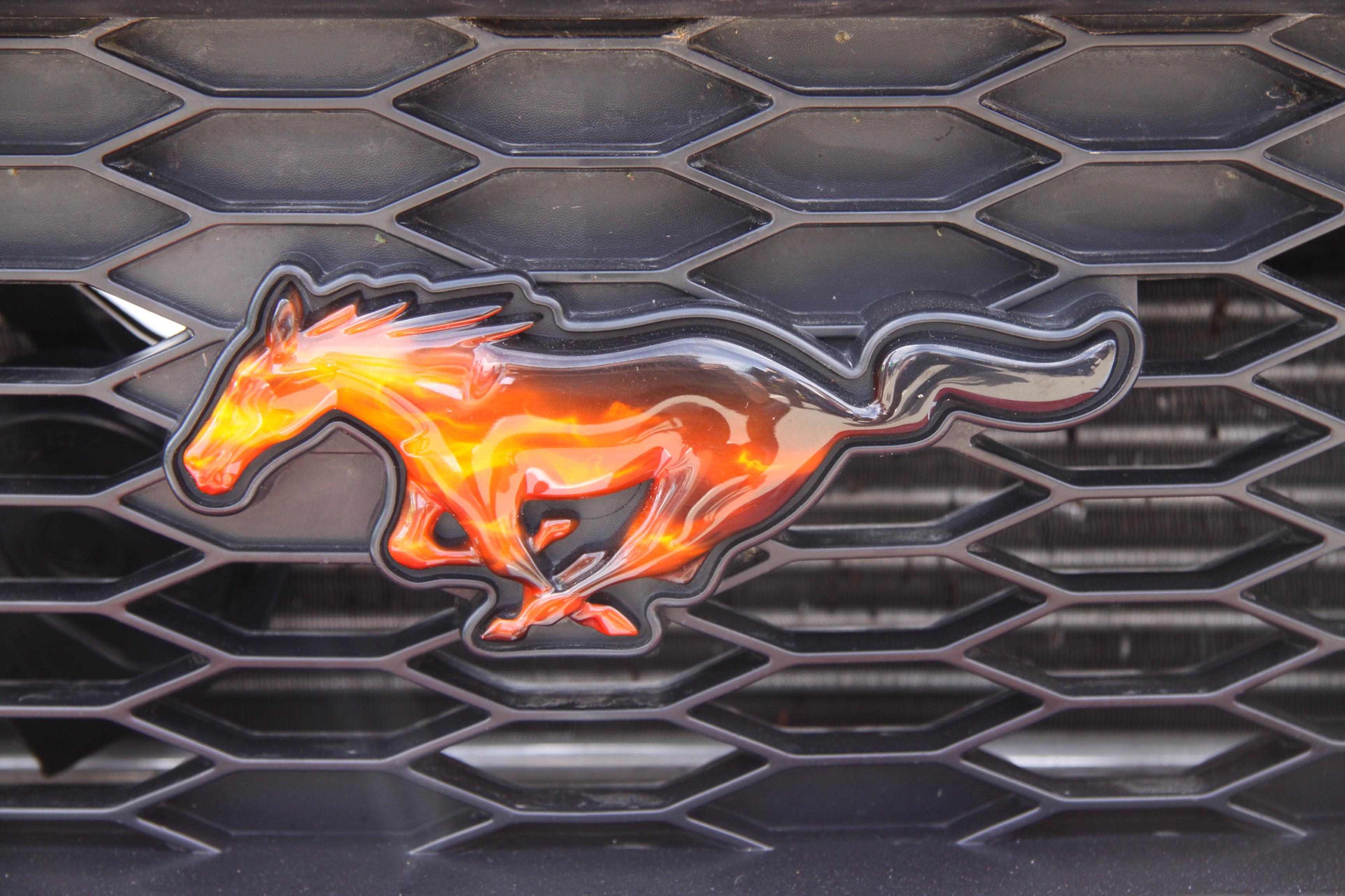 Ford Mustang Logo Wallpaper Hd. Beautiful Mustang Ucbuelogo