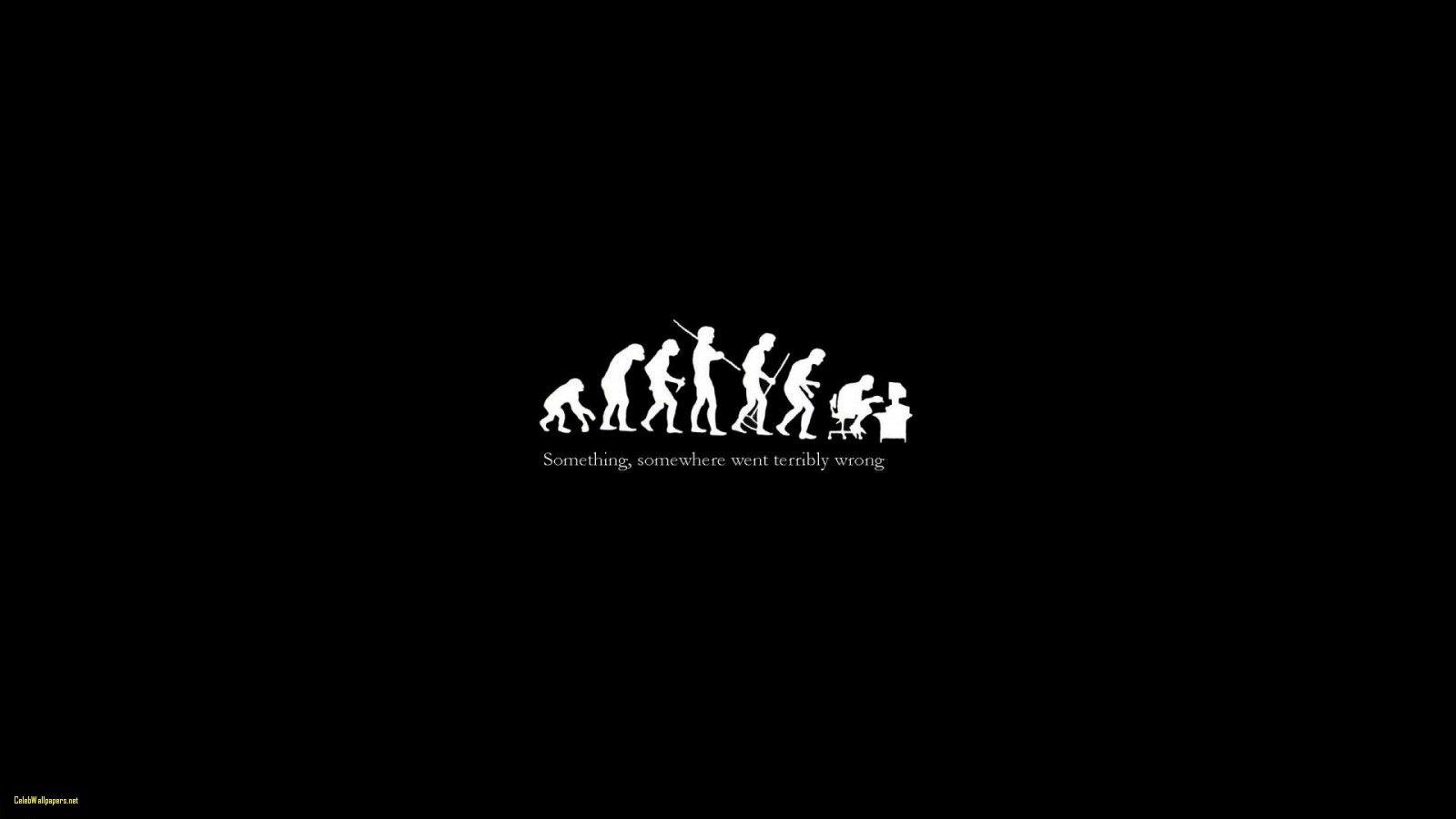 Crazy Wallpaper Best Of Crazy Desktop Background Wallpaper HD