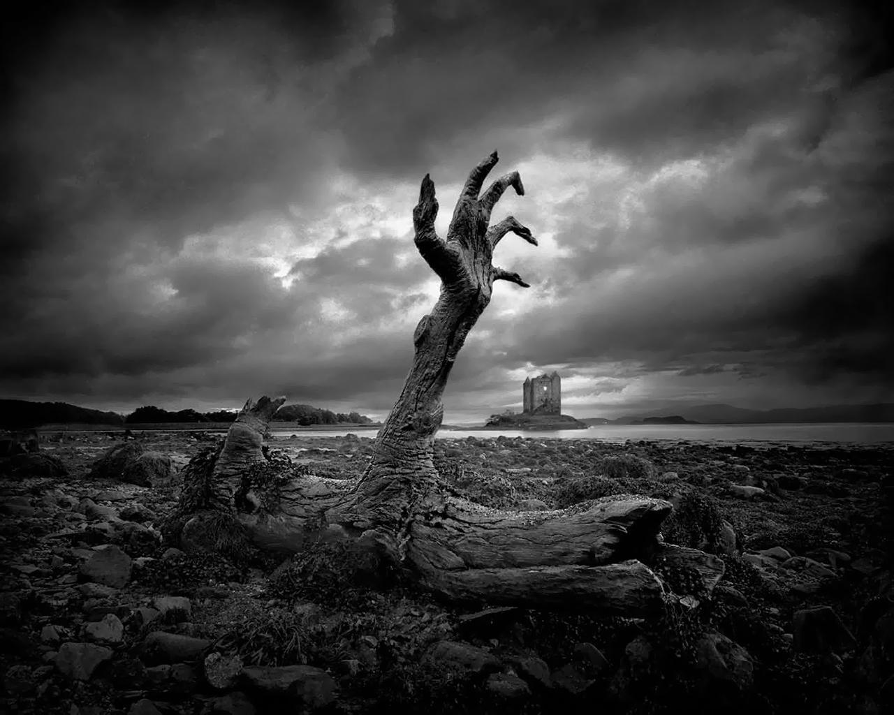 Zombie Wallpaper, Full HD 1080p, Best HD Zombie Pics, Desktop